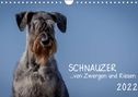 Michael Janz: Schnauzer... von Zwergen und Riesen 2022 (Wandkalender 2022 DIN A4 quer), KAL
