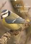 Kevin Andreas Lederle: Schöne, kleine Vogelwelt (Wandkalender 2022 DIN A3 hoch), Kalender