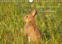 Kevin Andreas Lederle: Unsere Hasen - und Kaninchenwelt (Wandkalender 2022 DIN A4 quer), Kalender