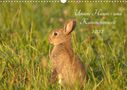 Kevin Andreas Lederle: Unsere Hasen - und Kaninchenwelt (Wandkalender 2022 DIN A3 quer), Kalender
