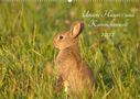 Kevin Andreas Lederle: Unsere Hasen - und Kaninchenwelt (Wandkalender 2022 DIN A2 quer), Kalender