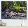 Manfred Bergermann: Indien Sunderbans (Premium, hochwertiger DIN A2 Wandkalender 2022, Kunstdruck in Hochglanz), Kalender