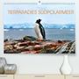 Manfred Bergermann: Tierparadies Südpolarmeer (Premium, hochwertiger DIN A2 Wandkalender 2022, Kunstdruck in Hochglanz), Kalender