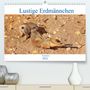 Kattobello: Lustige Erdmännchen (Premium, hochwertiger DIN A2 Wandkalender 2022, Kunstdruck in Hochglanz), Kalender
