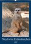 Kattobello: Niedliche Erdmännchen (Wandkalender 2022 DIN A3 hoch), Kalender