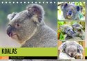 Rose Hurley: Koalas. Teddy-Alarm! (Tischkalender 2022 DIN A5 quer), KAL