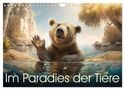 Daniel Rohr: Im Paradies der Tiere (Wandkalender 2024 DIN A4 quer), CALVENDO Monatskalender, KAL