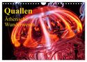 Elisabeth Stanzer: Quallen ¿ Ätherische Wunderwesen (Wandkalender 2024 DIN A4 quer), CALVENDO Monatskalender, KAL