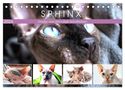 Rose Hurley: Sphinx. Grazile und anmutige Nacktkatzen (Tischkalender 2024 DIN A5 quer), CALVENDO Monatskalender, KAL