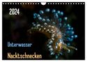 Claudia Weber-Gebert: Unterwasser - Nacktschnecken 2024 (Wandkalender 2024 DIN A4 quer), CALVENDO Monatskalender, KAL