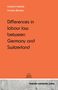 Friedrich Kreifels: Differences in labour law between Germany and Switzerland, Buch