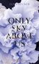 Elisa Stecker: Only Sky above us, Buch