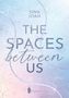Text: "Sina Joan, The Spaces Between Us, Wreaders". Hintergrund: Eisige, verschneite Textur in Pastelltönen., Buch