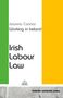 Joanna Connor: Working in Ireland, Buch