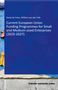 Henk de Vries: Current European Union Funding Programmes for Small and Medium-sized Enterprises (2025-2027), Buch