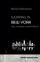 Michael Hoffenheimer: Working in New York, Buch