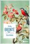 Emily Bronte: Sturmhöhe, Buch