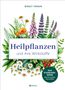 "Heilpflanzen und ihre Wirkstoffe". Illustration mit bunten Pflanzen und Blumen. Oben steht "Birgit Frohn"., Buch