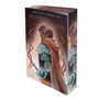 "Splintered Kingdom" von Gretchen Powell Fox. Illustration mit einem Ritter in Rüstung und rotem Umhang, Schwert in der Hand., Buch
