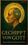 Text: "GECHIPPT VON GOTT", "Wenn der Schatten von Erkenntnis Kontrolle ist". Illustration: Person mit Schaltkreis im Kopf., Buch