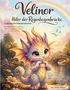 „Velinor Hüter der Regenbogenbrücke“; Drache mit Herz, Regenbogen, See, Brücke, und Blumen in einer sanften Landschaft., Buch