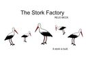Rejo Beck: The Stork Factory, Buch