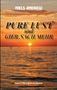 Text: "PURE LUST und GIER NACH MEHR", "NIELS ANDREW", "EROTISCHER ROMAN". Ein Sonnenuntergang über dem Meer., Buch