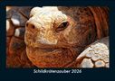 "Schildkrötenzauber 2026" steht unter dem Bild einer Schildkröte mit faltiger, wettergegerbter Haut.