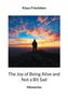 Klaus Friesleben, The Joy of Being Alive and Not a Bit Sad, Memories. Eine Person steht auf einem Berg bei Sonnenuntergang., Buch