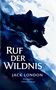 "Ruf der Wildnis, Jack London, Herausgegeben von Edmond Bronstein." Illustration eines Wolfes mit gelben Augen auf blauem Hintergrund., Buch