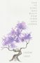 „TAO TE KING DAS BUCH VOM SINN UND LEBEN Laotse Laozi“ in neutraler Schrift. Aquarell eines lila Baums., Buch