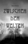Der Text "HILDE REICH" und "ZWISCHEN DEN WELTEN" steht über einem nebligen Wald, durch den Sonnenstrahlen scheinen., Buch