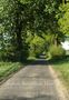 Asphaltstraße mit Bäumen an den Seiten. Texte: "Asphalt. Brunsmark. Dom." und "Fernando Offermann"., Buch