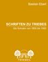 „Schriften zu Triebes: Die Schulen von 1600 bis 1950“ von Bastian Ebert. Unten ein Logo mit zwei Bäumen und einer Brücke., Buch