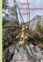 "Flora im Berchtesgadener Land" in roter Schrift, "Andrea Wendeln" unten. Gehäkeltes Tier sitzt auf Felsen, Bergkulisse., Buch