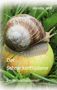 Text: Annette Wolf, Der Schneckenflüsterer, Ein Naturschutzroman. Eine Schnecke kriecht auf einem Apfel im Gras., Buch