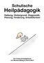 „Schulische Heilpädagogik“; Untertitel und Autoren. Illustration: Figur mit Rollstuhl auf einer Schräge., Buch