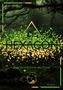 „T.M. FOXX, HEXAGON, Das Vermächtnis der Pryce. 2, ROMAN.“ Goldene und grüne Kreise über Waldboden. 

, Buch