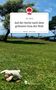 Vic Toria: Auf der Suche nach dem grünsten Gras der Welt. Life is a Story - story.one, Buch