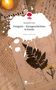 Elisabeth Otto: Freigeist - Kurzgeschichten & Poesie. Life is a Story - story.one, Buch