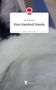„Irene Werren, Eine Handvoll Nando, story.one – Life is a story.“ Oben ein rotes Logo eines Baumes mit Tastatur., Buch