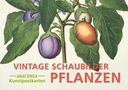 Postkarten-Set Vintage-Schaubilder Pflanzen, Buch