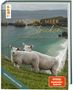Buchtitel: "Die Maschen & das Meer". Hintergrund zeigt Schafe auf grüner Wiese mit Meerblick., Buch