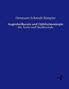Hermann Schmidt-Rimpler: Augenheilkunde und Ophthalmoskopie, Buch