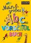 Ulrike Holzwarth-Raether: Mein großes Abc-Vorschulbuch, Buch