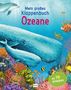 Anita Ganeri: Mein großes Klappenbuch - Ozeane, Buch, Buch