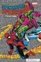 "Der spektakuläre Spider-Man Collection" steht groß im Bild. Darunter kämpfen Spider-Man und der Grüne Kobold, umgeben von Netzen., Buch