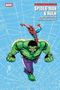 „WEB OF HEROES COLLECTION: SPIDER-MAN & HULK“. Eine Illustration von Spider-Man auf Hulk, vor einem blauen Netz-Hintergrund., Buch