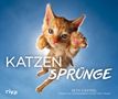 Seth Casteel: Katzensprünge, Buch