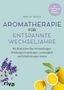 Mariza Snyder: Aromatherapie für entspannte Wechseljahre, Buch